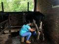 Producción Animal