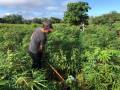 Agricultura