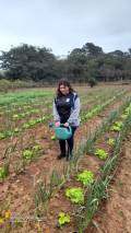 Horticultura